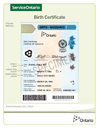 2 you don't know both parents' social security Newborn Registration Service Frequently Asked Questions