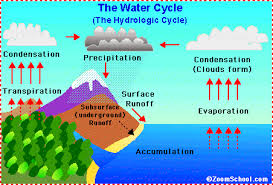 Resultado de imagen de water cycle