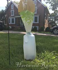 We just attached the vane and lure from the store bought one with hot glue to a funnel and then glued the funnel to a pvc pipe. Pin On Helpful Hints