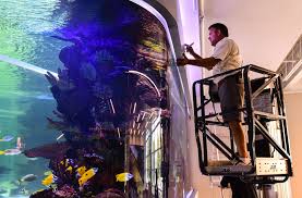 And a tour around cartimar want to donate? New Samtec Fish Tank Featured On Animal Planet Tv Show Tanked News Newsandtribune Com