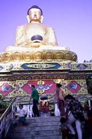 Hawking Was Wrong Hawk This Or That Questions Wrong