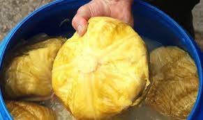 Află din acest articol câtă csare se pune la varza murată la butoi pentru iarnă! Ingredientul Secret Care ImpiedicÄƒ Varza MuratÄƒ SÄƒ FacÄƒ Floare Gospodinele Il Iau De La Farmacie Impact