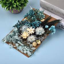 How to preserve dried flowers in a frame. 1pack Preserved Flower Dried Flowers For Diy Resin Crafts Making Fit Aromatherapy Candle Epoxy Frame Embossing Decoration Hot Offer 45e4cf Goteborgsaventyrscenter