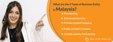 Factors to consider in private limited company (sdn. What Are The 5 Types Of Business Entity In Malaysia Business Entity Malaysia