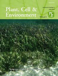 Check spelling or type a new query. What Gas Exchange Data Can Tell Us About Photosynthesis Sharkey 2016 Plant Cell Amp Environment Wiley Online Library