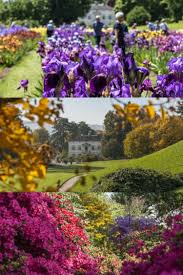 Merian Garten In Bruglingen In 2020 Garten Merian Basel Stadt