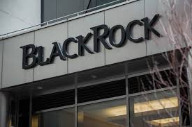 Which cryptocurrency has the best future? Blackrock Cryptocurrencies Will Be Widely Used In The Future