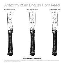 The Ultimate Guide To English Horn Reeds Khara Wolf