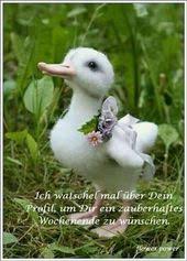 79 Wochenende Ideen In 2021 Wochenende Grusse Zum Wochenende Wochenende Spruche