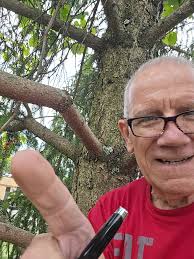 Throw ball air cannon in action🔥💨👀