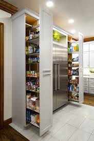 30 Kitchen Designs With Stainless Steel Appliances Photo Gallery Home Awakening Kitchen Pantry Design Pantry Design Modern Kitchen