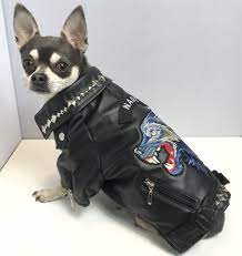 Petdudz Faux Leather Biker Dog Jackets Faux Leather Biker Jacket Biker Dog Faux Leather