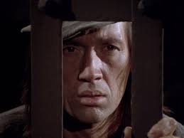 19 “The Passion of Chen Yi”