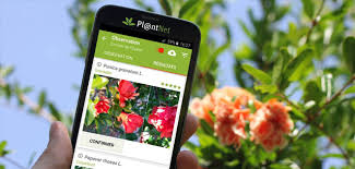 Questi sono solo alcuni degli scenari in cui può essere utile avere a portata di mano un'app per riconoscere musica. App Per Riconoscere Fiori Piante E Foglie Plantnet