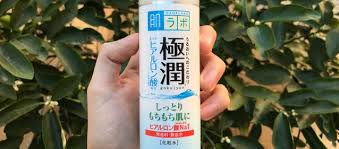 I mean, don't get me wrong, they definitely make the absolute best hyaluronic acid products on the market. Hada Labo Hyaluronic Acid Lotion Review Why You Should Use It