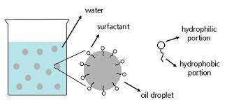 At that time, petroleum was found to be a plentiful source for the manufacture of these surfactants. Illustration Of Pcme And Surfactant 24 Surfactants Can Be Classified Download Scientific Diagram
