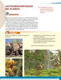 Página 18 libro de actividades de geografía 6. Geografia Quinto Grado 2017 2018 Pagina 63 De 210 Libros De Texto Online