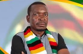 Zanu PF wins Insiza North by-election -Newsday Zimbabwe