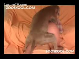 We did not find results for: Https Luxuretv Com Videos Un Jeune Gay Passif Defonce Par Son Rottweiler 33709 Html Https Thumb Luxuretv Com Thumbs 5 7 4 C 5 574c3bcfbc55411574 574c3bcfbc55411574 Flv 7b Jpg Un Jeune Gay Passif Defonce Par Son Rottweiler Depuis Qu Il A Goutter