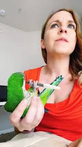 Shay Thompson Bird Video