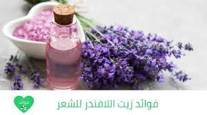 فوائد زيت اللافندر للشعر رائحة جميلة وانتعاش وشعر صحي وأكثر red peppercorn peppercorn red