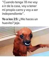 Pin De Monica Elzabeth En Memes Memes Divertidos Memes Memes De Perros Chistosos