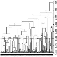 Image result for Ixora kalehensis