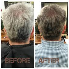 Aveda Gray Blending Mens Hair Color Canvas Salon And Skin Bar Mens Hair Colour Mens Hairstyles Skin Bar