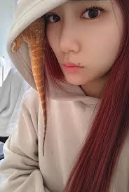 Where does you beardie like to burrow? 😅