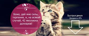 images?q=tbn:ANd9GcQqpQvEMljEOOvquv2b6A7