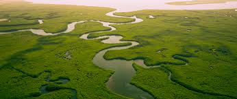 It includes physical, chemical and other natural forces. Environmental Protection