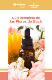 Hace mas de 75 años un médico inglés interesado en la bacteriología, patología y homeopatía llamado edward bach y quien fue autor de mas de una docena de escritor. Para Que Sirven Las Flores De Bach San Pablo Farmacia