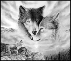 See more ideas about wolf, beautiful wolves, wolf pictures. Wolves Fc Gif Hachiman Wallpaper