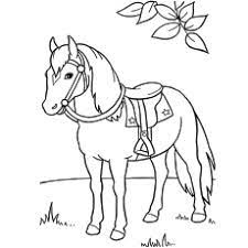 Its coat is left plain in some of the pages while in others it has patches. Top 55 Free Printable Horse Coloring Pages Online