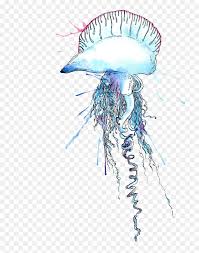 With a bell reaching up to 8 ft (2.5m) or more across and tentacles trailing over 100 ft. Man O War Jellyfish Png Transparent Png Vhv