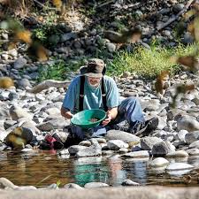 Many detectorists armed with pans, sluice boxes, and detectors, have found gold across the state! Area Prospectors Are Finding Gold Hidden In Local Waters The Spokesman Review