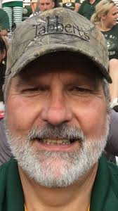 Are these carpenter ants in my logs?