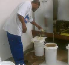 Image result for Egyptian Cream 1977 Hussmann