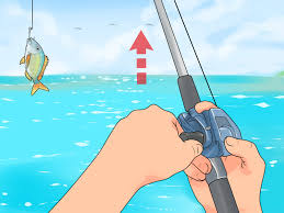 The drop shot rig is one of the most popular f. How To Fish A Drop Shot Rig 12 Steps With Pictures Wikihow