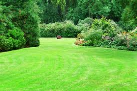 Arborists in bartlett tree experts' raleigh, nc office are committed to helping local residents and businesses maintain beautiful, healthy trees and shrubs. 10 Things Lawn Services Won T Tell You Marketwatch