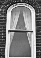 The options for the color of the actual letters/photos are black and white or sepia/antique. Order Single Alphabet Photography Letters In Black White Or Sepia Frame The Alphabet