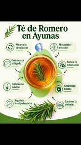 Descubrí el poder de nuestro nuevo Té de Romero, una infusión con aroma  refrescante, ideal para revitalizarte en cualquier momento 🍃 El Romero es  mucho más que una hierba: es un aliado