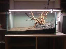 Besides good quality brands, you'll also find plenty of discounts when you shop for driftwood aquarium during big sales. How To Preparing Driftwood