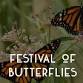 Powell Gardens’ Festival of Butterflies