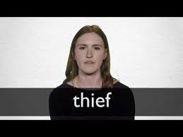 एन्क्रिप्शन के प्रकार | types of encryption in hindi. Hindi Translation Of Thief Collins English Hindi Dictionary
