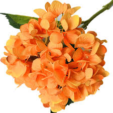 When they are fresh most of the flowers in the cluster open, the flower is sturdy and firm to the touch. Hot Selling Mix Colour Preserved Bridal Hydrangea Flower Wedding Home Desktop High Quality Decoration Artificial Flower Buy Hot Selling Bulk Artificial Flowers For Sale High Quality Decoration Artificial Flower Bridal Hydrangea Artificial Flower