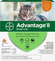 With a range of quality products, we can take care of all your ranch supply needs in one stop or online order. Bayer Advantage Ii For Cats And K9 Western Pet Supply Facebook