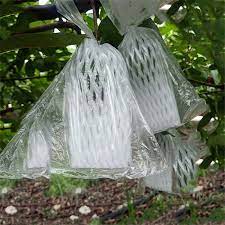 We did not find results for: 100pcs Guava Protection Cover Grow Bag Anti Bird Insect Net Bag Vegetable Fruit Protect Breeding Bag Prevent Fruit Tree Plant Covers Aliexpress
