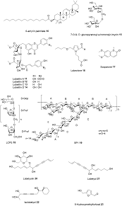Image result for lobelia combine composition