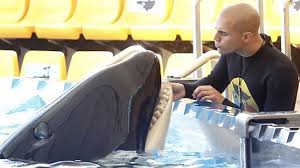 Resultado de imagen de imagenes de loro parque